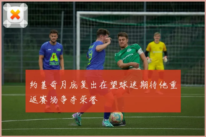 约基奇月底复出在望球迷期待他重返赛场争夺荣誉